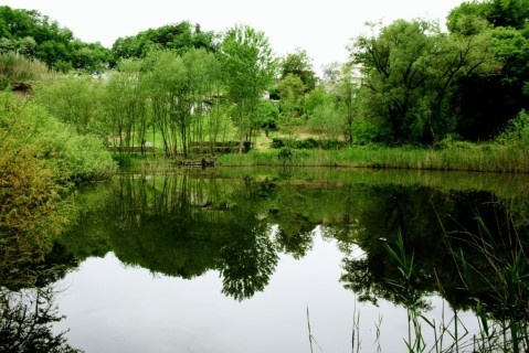 Il laghetto di Maniano, in un'area antichissima di Frosinone